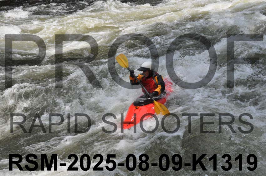 RSM-2025-08-09-K1319