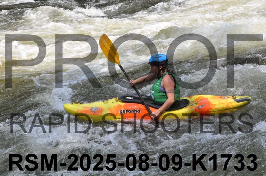 RSM-2025-08-09-K1733