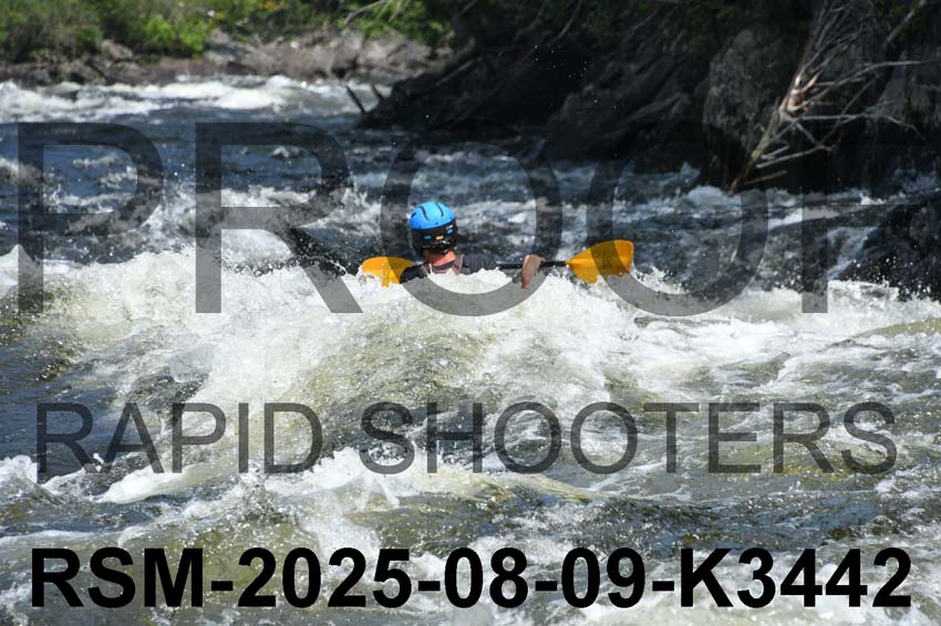 RSM-2025-08-09-K3442