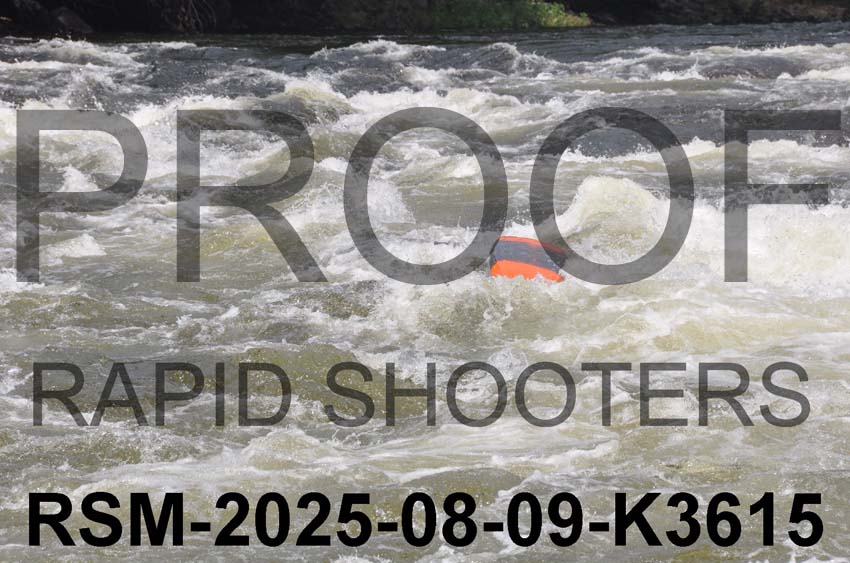 RSM-2025-08-09-K3615