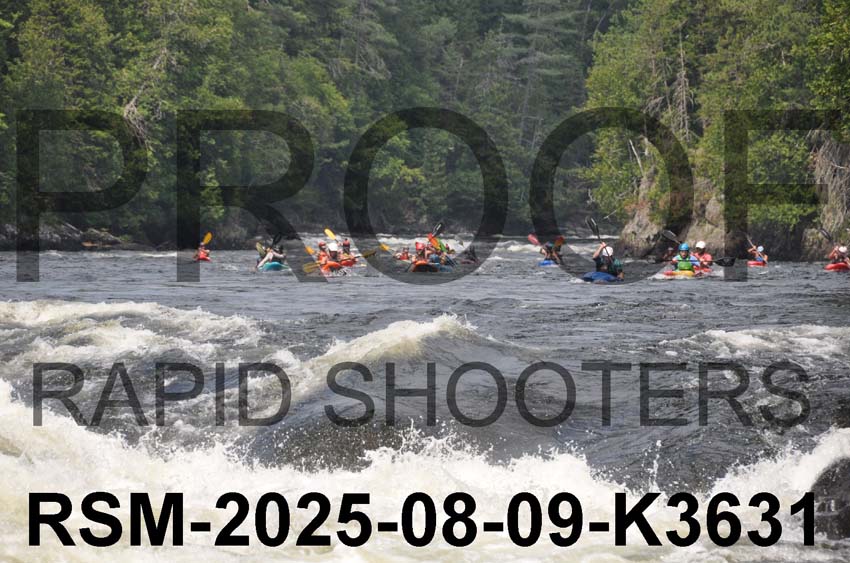 RSM-2025-08-09-K3631