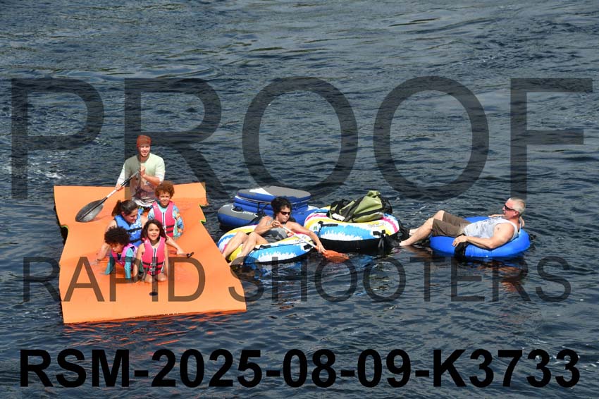 RSM-2025-08-09-K3733