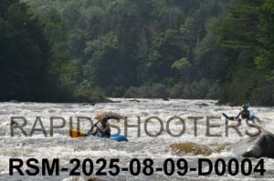 RSM-2025-08-09-D0004
