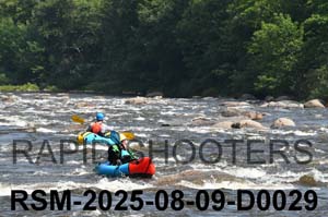 RSM-2025-08-09-D0029