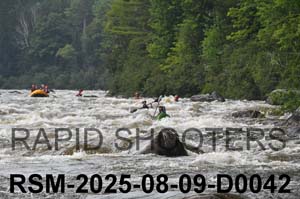 RSM-2025-08-09-D0042