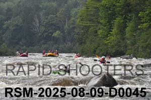 RSM-2025-08-09-D0045