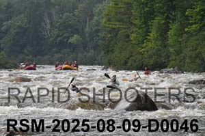 RSM-2025-08-09-D0046