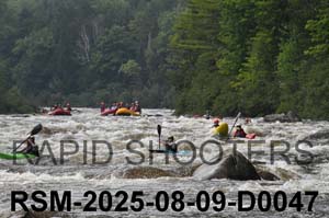 RSM-2025-08-09-D0047