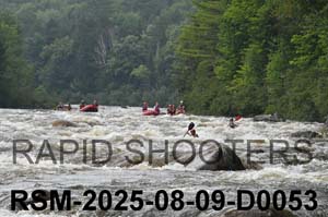 RSM-2025-08-09-D0053