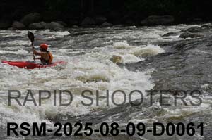 RSM-2025-08-09-D0061