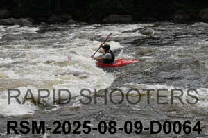 RSM-2025-08-09-D0064