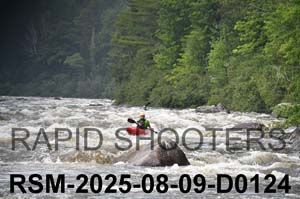 RSM-2025-08-09-D0124