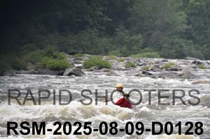 RSM-2025-08-09-D0128
