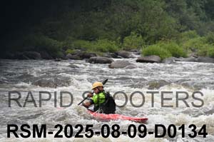 RSM-2025-08-09-D0134