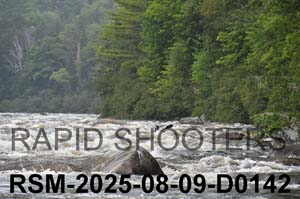 RSM-2025-08-09-D0142