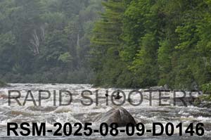 RSM-2025-08-09-D0146