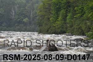 RSM-2025-08-09-D0147