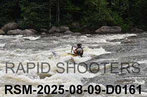 RSM-2025-08-09-D0161
