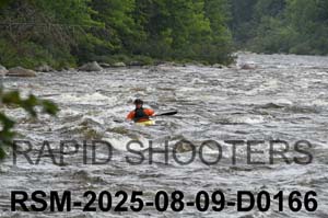 RSM-2025-08-09-D0166