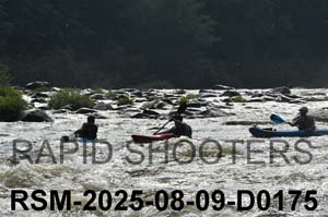 RSM-2025-08-09-D0175
