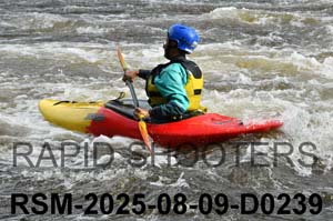 RSM-2025-08-09-D0239