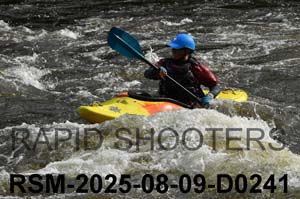 RSM-2025-08-09-D0241