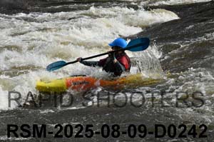 RSM-2025-08-09-D0242