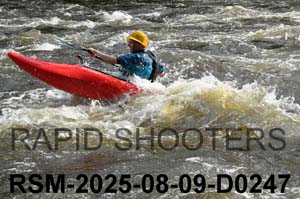 RSM-2025-08-09-D0247
