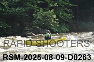 RSM-2025-08-09-D0263