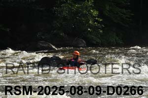 RSM-2025-08-09-D0266