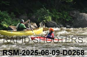 RSM-2025-08-09-D0268