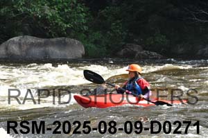 RSM-2025-08-09-D0271