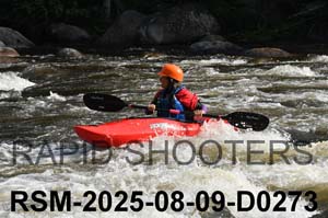 RSM-2025-08-09-D0273
