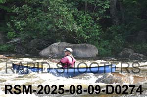 RSM-2025-08-09-D0274