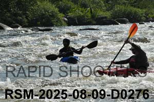 RSM-2025-08-09-D0276