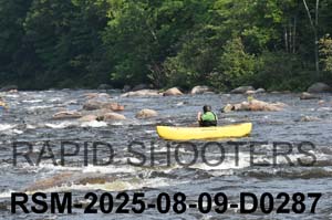 RSM-2025-08-09-D0287