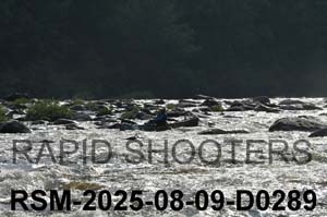 RSM-2025-08-09-D0289