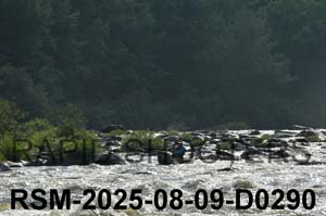 RSM-2025-08-09-D0290