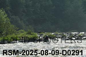 RSM-2025-08-09-D0291