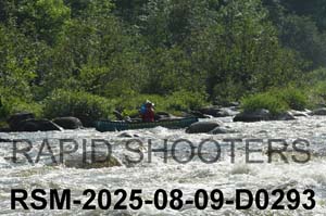 RSM-2025-08-09-D0293