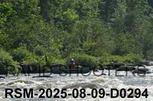 RSM-2025-08-09-D0294