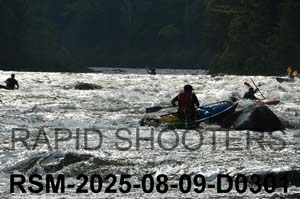 RSM-2025-08-09-D0301