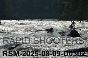 RSM-2025-08-09-D0302