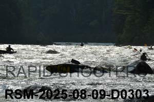RSM-2025-08-09-D0303