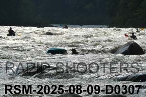 RSM-2025-08-09-D0307