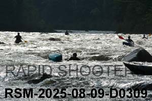 RSM-2025-08-09-D0309