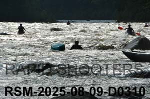 RSM-2025-08-09-D0310
