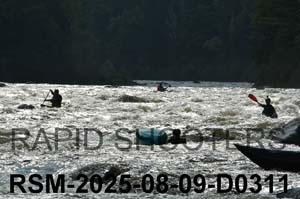 RSM-2025-08-09-D0311