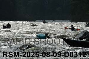 RSM-2025-08-09-D0312