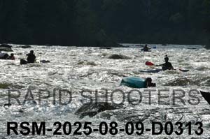 RSM-2025-08-09-D0313